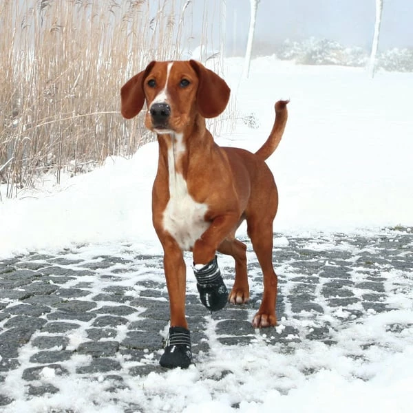 Trixie Pfotenschutz Walker Active