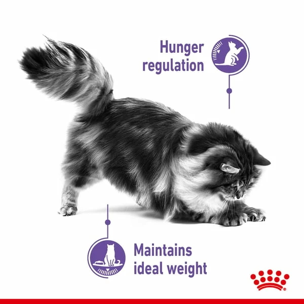 Royal Canin FCN Appetite Control â Bild 3