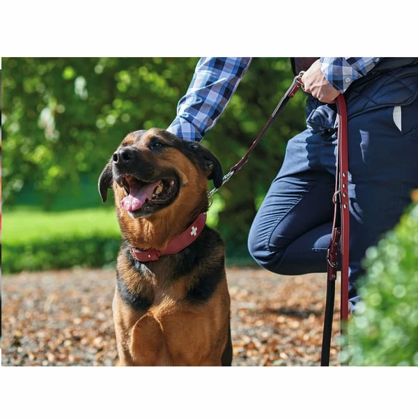 Hunter Verstellbare Führleine Swiss Rot/Schwarz – Bild 2