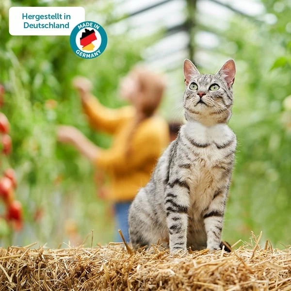 ZooRoyal Minkas Naturkost Adult Ente & Huhn Mit Karotten & Distelöl – Bild 6