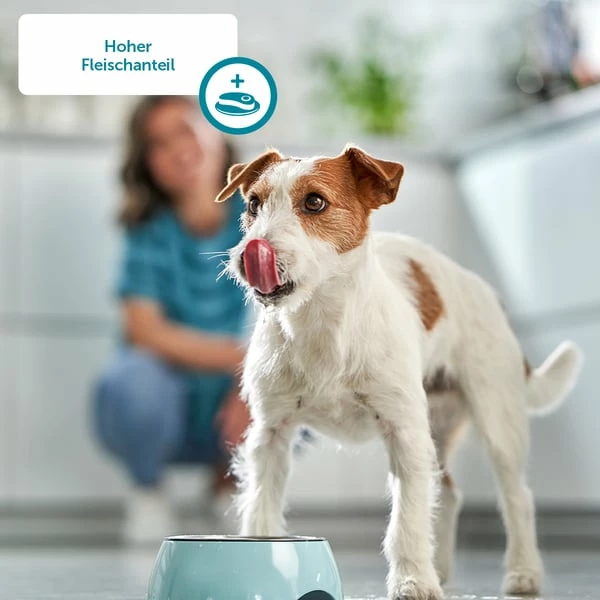 ZooRoyal Gourmet Sticks Mega Mixpaket 50x6x11g – Bild 8