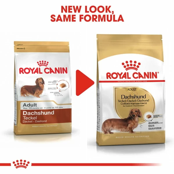 ROYAL CANIN Dachshund Adult Hundefutter Trocken Für Dackel – Bild 5