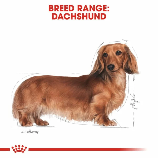 ROYAL CANIN Dachshund Adult Hundefutter Trocken Für Dackel – Bild 6