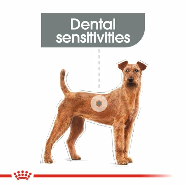 ROYAL CANIN DENTAL CARE MEDIUM Trockenfutter Für Mittelgroße Hunde Mit Empfindlichen Zähnen – Bild 2