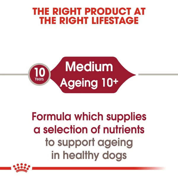 ROYAL CANIN MEDIUM AGEING 10+ Nassfutter Für ältere Mittelgroße Hunde – Bild 2
