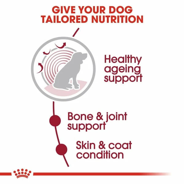 ROYAL CANIN MEDIUM AGEING 10+ Nassfutter Für ältere Mittelgroße Hunde – Bild 3