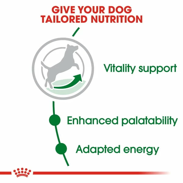 Royal Canin Mini Adult 8+ 2x8kg – Bild 3