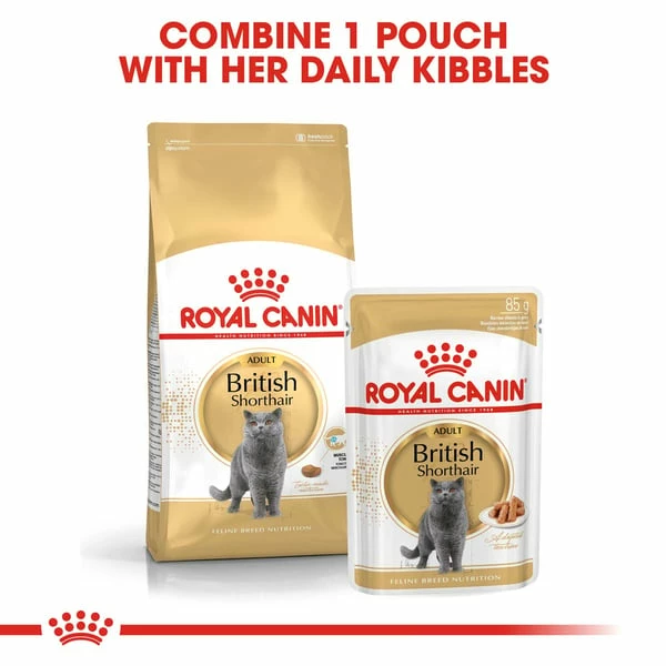 ROYAL CANIN ADULT British Shorthair 10kg + Nassfutter In Soße 48x85g
