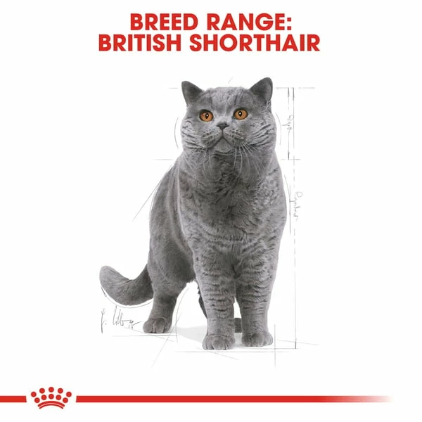 ROYAL CANIN ADULT British Shorthair 10kg + Nassfutter In Soße 48x85g – Bild 6