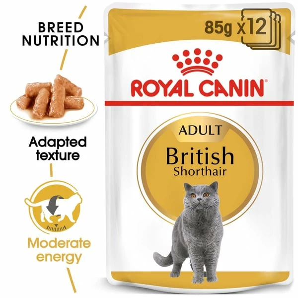 ROYAL CANIN ADULT British Shorthair 10kg + Nassfutter In Soße 48x85g – Bild 3