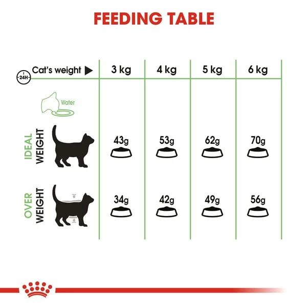 Royal Canin FCN Digestive Care â Bild 4