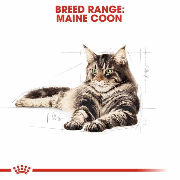 ROYAL CANIN Maine Coon Adult Katzenfutter Trocken â Bild 4