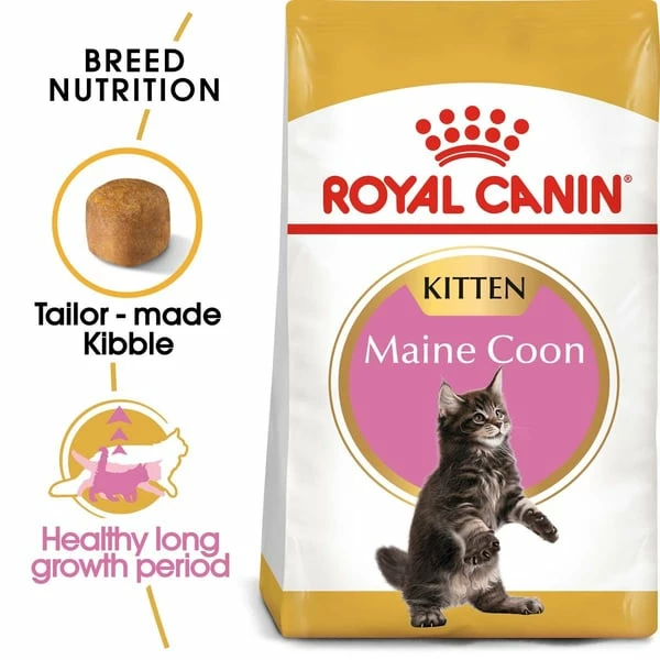 ROYAL CANIN Maine Coon Trockenfutter Für Kätzchen