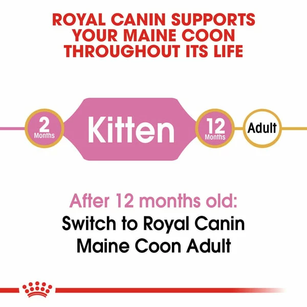 ROYAL CANIN Maine Coon Trockenfutter Für Kätzchen – Bild 2