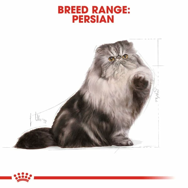 ROYAL CANIN ADULT Persian Trockenfutter 10kg + Nassfutter 48x85g â Bild 6