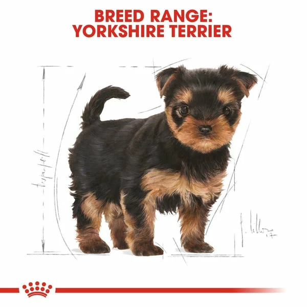 ROYAL CANIN Yorkshire Terrier Welpenfutter Trocken – Bild 7