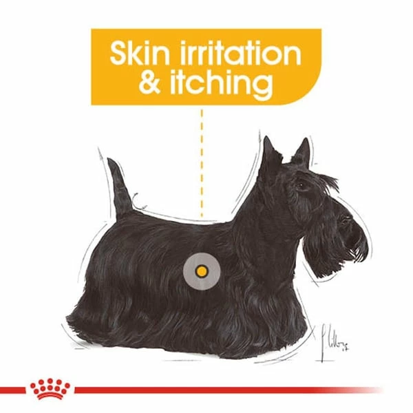 ROYAL CANIN DERMACOMFORT Nassfutter Für Hunde Mit Empfindlicher Haut 12x85g – Bild 2