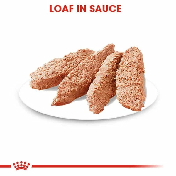 ROYAL CANIN DERMACOMFORT Nassfutter Für Hunde Mit Empfindlicher Haut 12x85g – Bild 4