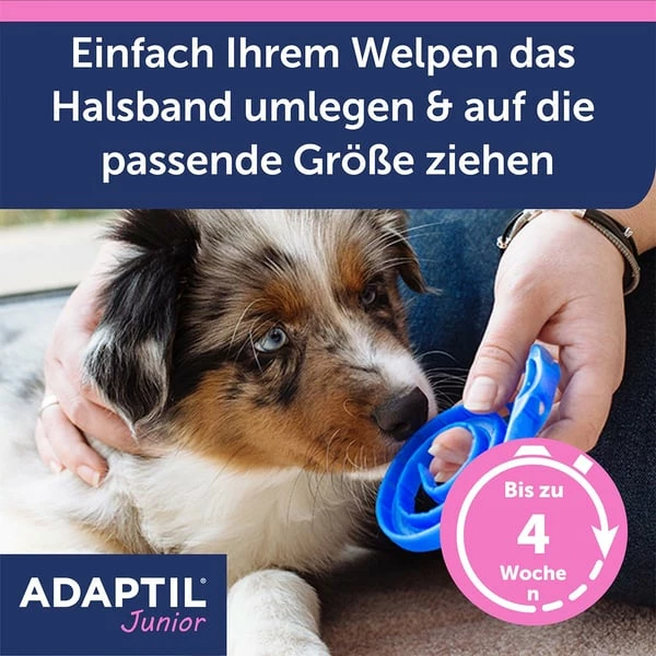 Adaptil Junior Halsband – Bild 4