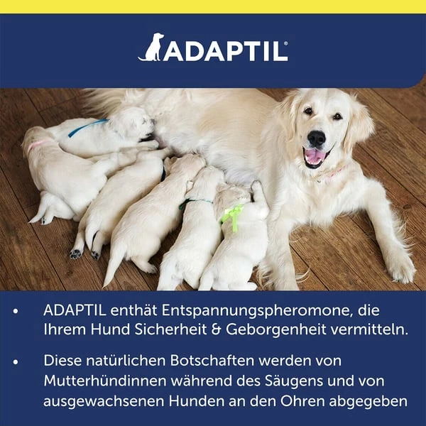 Adaptil Transportspray – Bild 9
