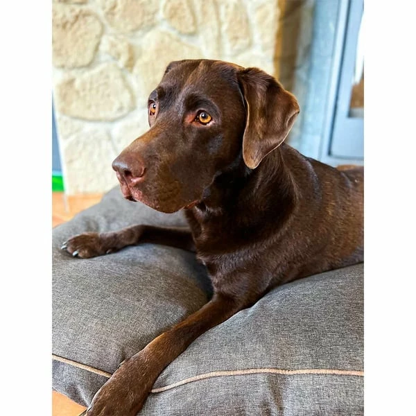 Aumüller Hundebett Basic Rechteckig 117 Cm – Bild 6