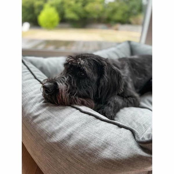 Aumüller Hundebett Sofa Ortho Line 80 Cm – Bild 6