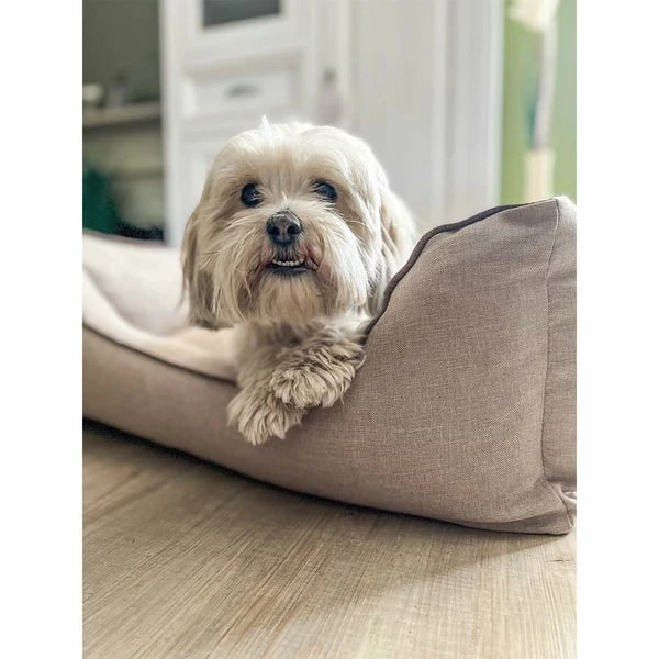 Aumüller Hundebett Sofa Basic 100 Cm – Bild 5