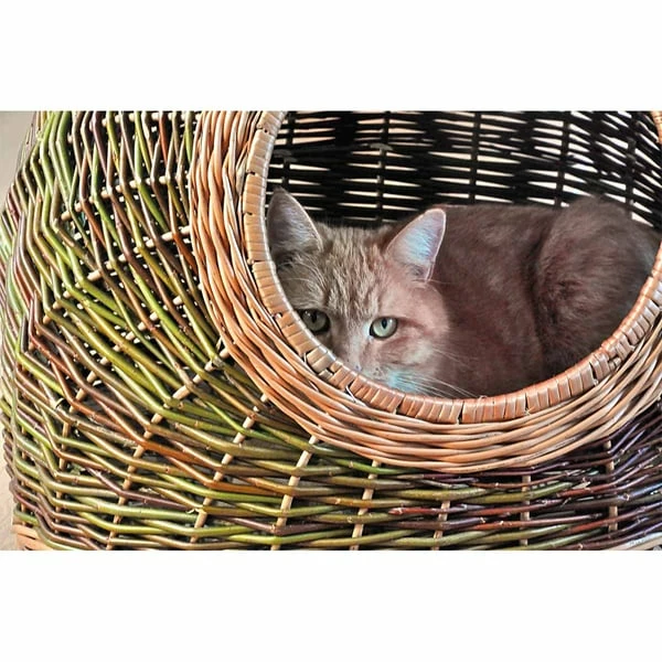 Aumüller Katzenhöhle Naturbunte Weide 50 Cm – Bild 3