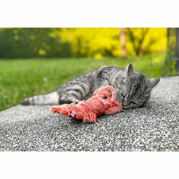 Aumüller Lucky Lobster Orange – Bild 9