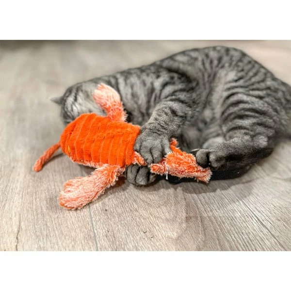 Aumüller Lucky Lobster Orange – Bild 6