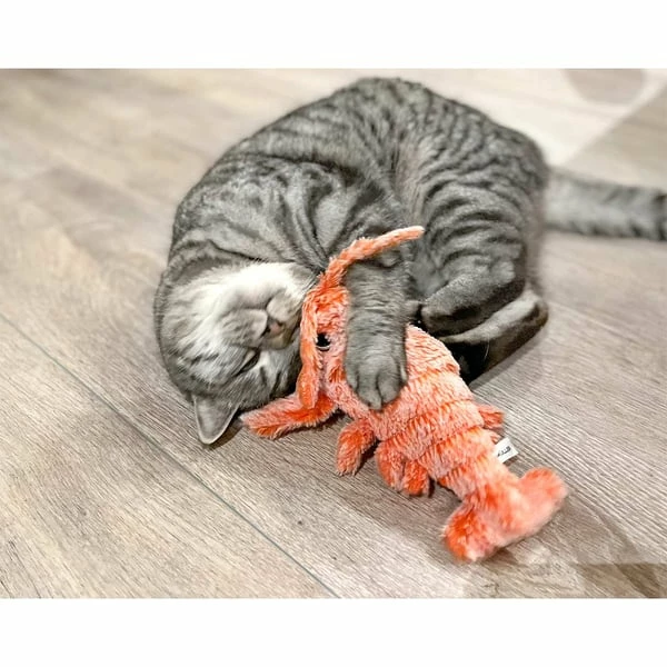 Aumüller Lucky Lobster Orange – Bild 5