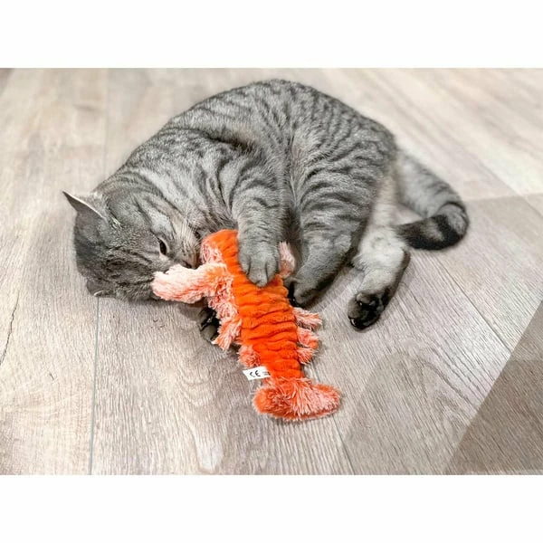 Aumüller Lucky Lobster Orange – Bild 7