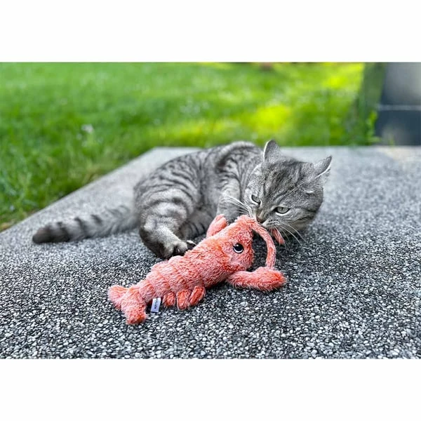 Aumüller Lucky Lobster Orange – Bild 10