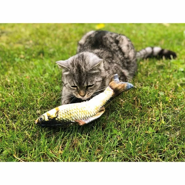 Aumüller Katzenspielkissen Zappel-Karpfen – Bild 3