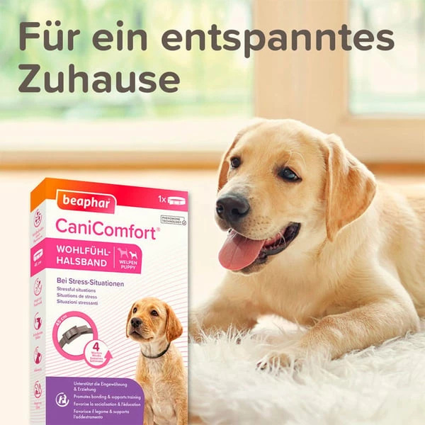Beaphar CaniComfort® Wohlfühl Halsband Für Welpen – Bild 4