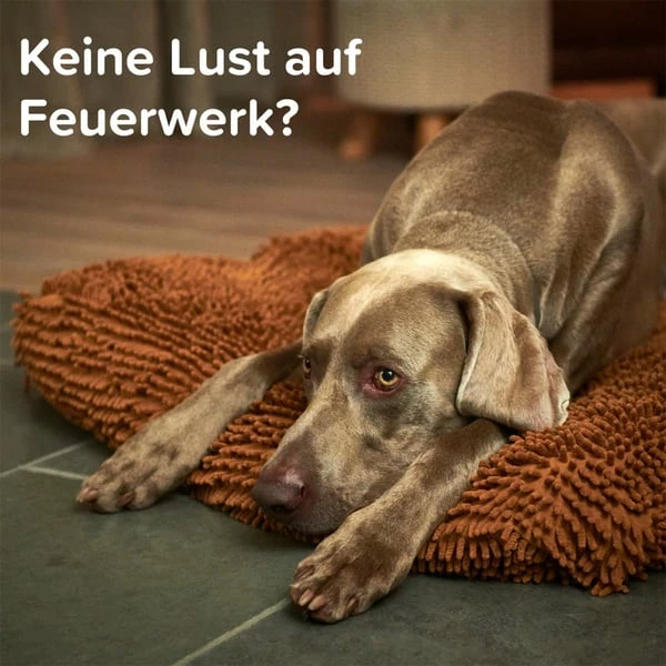 Beaphar CaniComfort® Wohlfühl-Spray Für Hunde 30ml – Bild 11