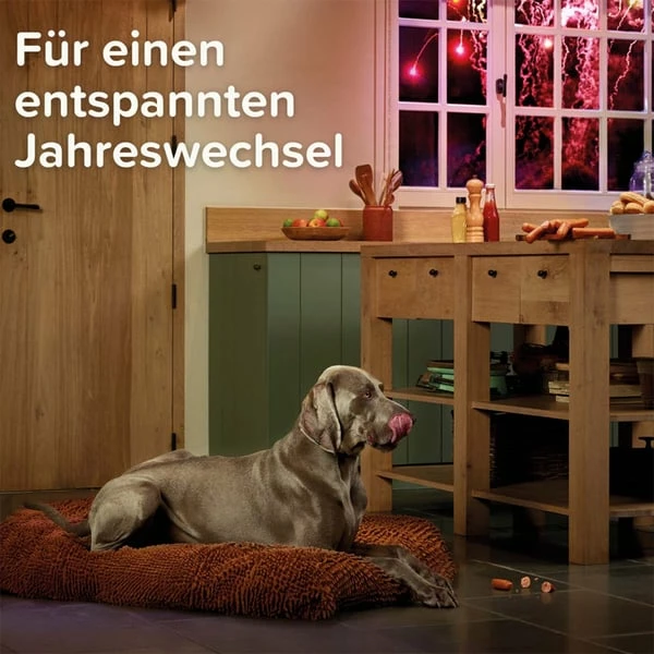 Beaphar CaniComfort® Wohlfühl-Spray Für Hunde 30ml – Bild 8