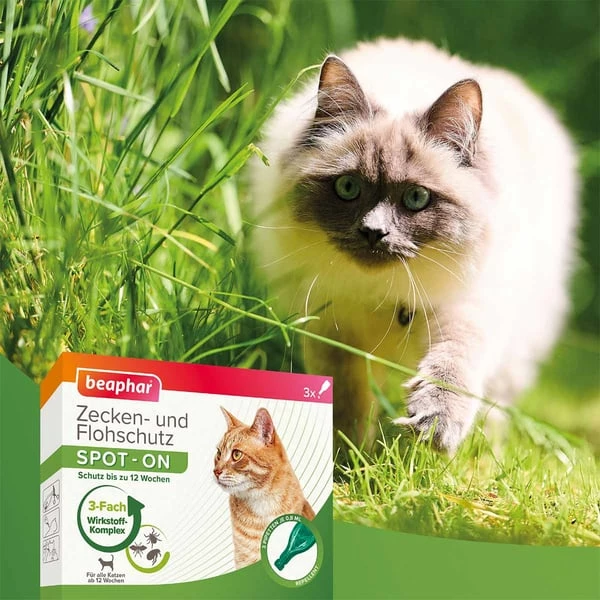 Beaphar Zecken- & Flohschutz SPOT-ON Für Katzen 3er-Pack – Bild 5