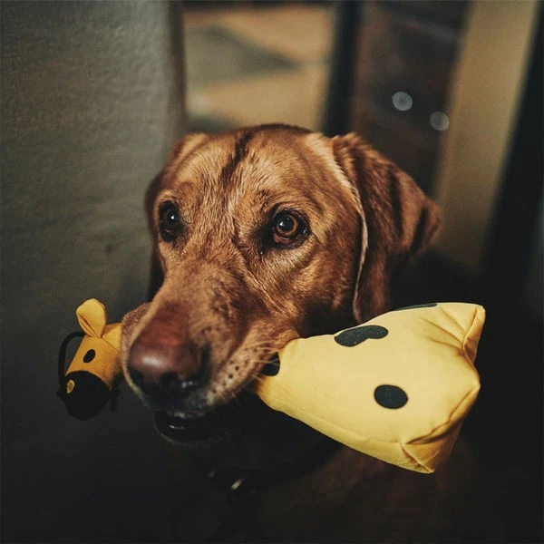 Beco Pets Kuschelspielzeug Giraffe â Bild 3