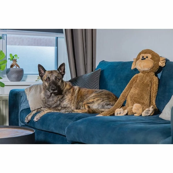 Beeztees XL Hundespielzeug Plüsch Affe Vik Braun – Bild 2