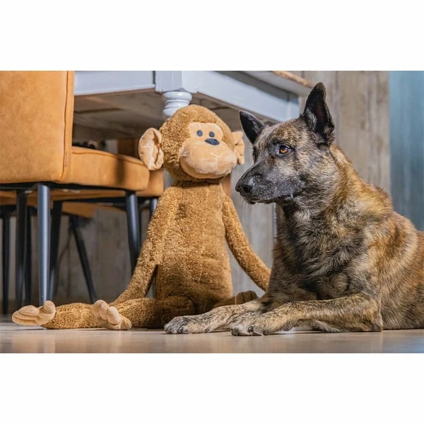 Beeztees XL Hundespielzeug Plüsch Affe Vik Braun – Bild 3