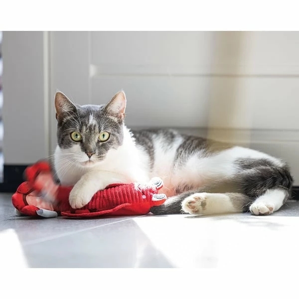 Beeztees Bewegender Hummer â Bild 5