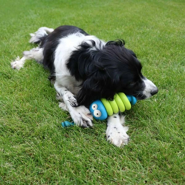 Europet Bernina Coockoo Kauspielzeug Larry â Bild 4