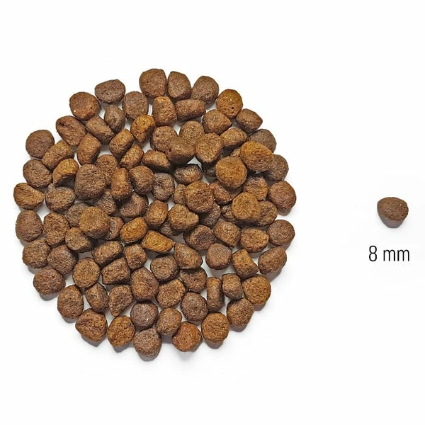 DOG´S LOVE Dog's Love Junior Huhn Mit Süßkartoffel Und Karotte – Bild 2