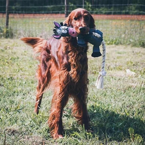 DUVO+ Farm Friends Donald Donkey 49cm â Bild 3