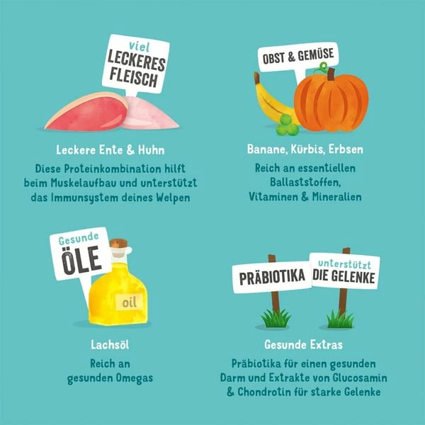 Edgard & Cooper Edgard&Cooper Junior Ente & Huhn â Bild 2