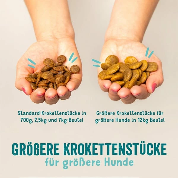 Edgard & Cooper Frischer Norwegischer Lachs – Bild 4