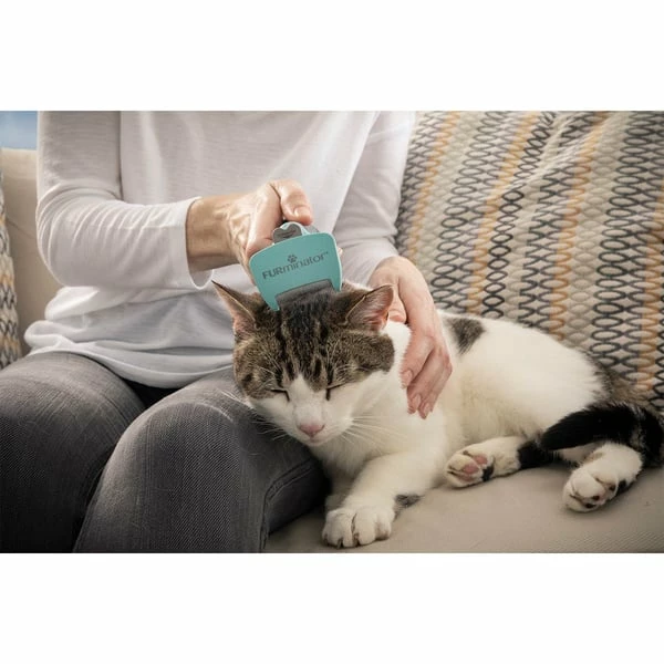 FURminator Katze Kurzhaar Bürste Für Unterwolle – Bild 5
