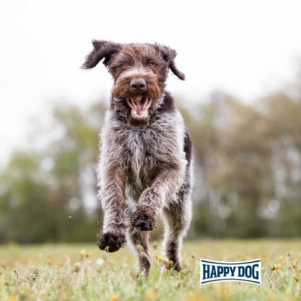 Happy Dog Supreme Fit & Vital Senior â Bild 6
