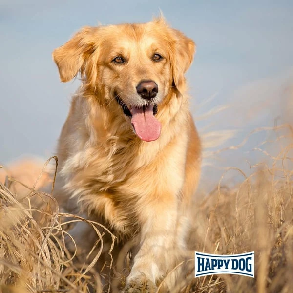 Happy Dog NaturCroq Rind & Reis â Bild 7